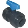WELL2WELLNESS PVC-Kugelhahn Blauer Griff Mit 2 X Innengewinde Einzeln 1 1/2"
